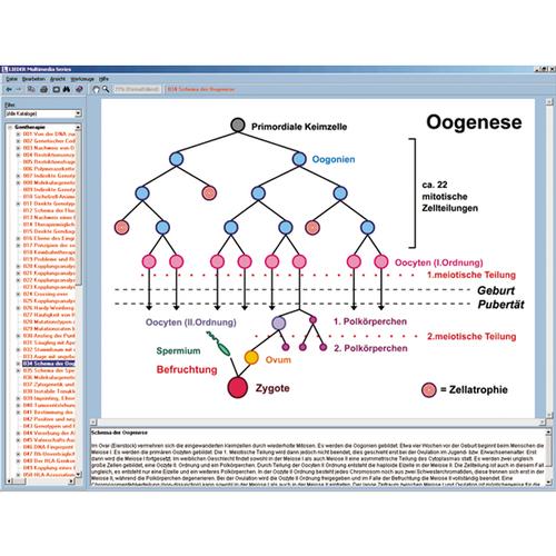 genetica molecolare umana pdf to jpg